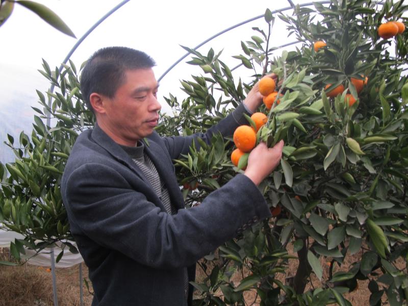 ���ɴ��������g���^�]���N������